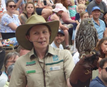 Owl, Healesville Sanctuary